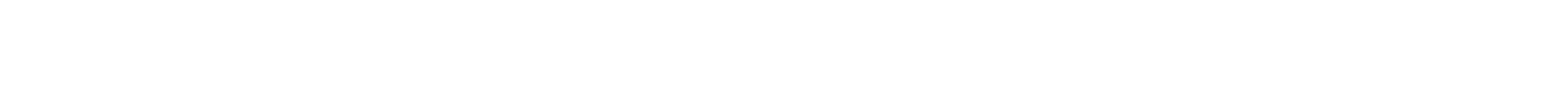 Newtown Duck Race Festival